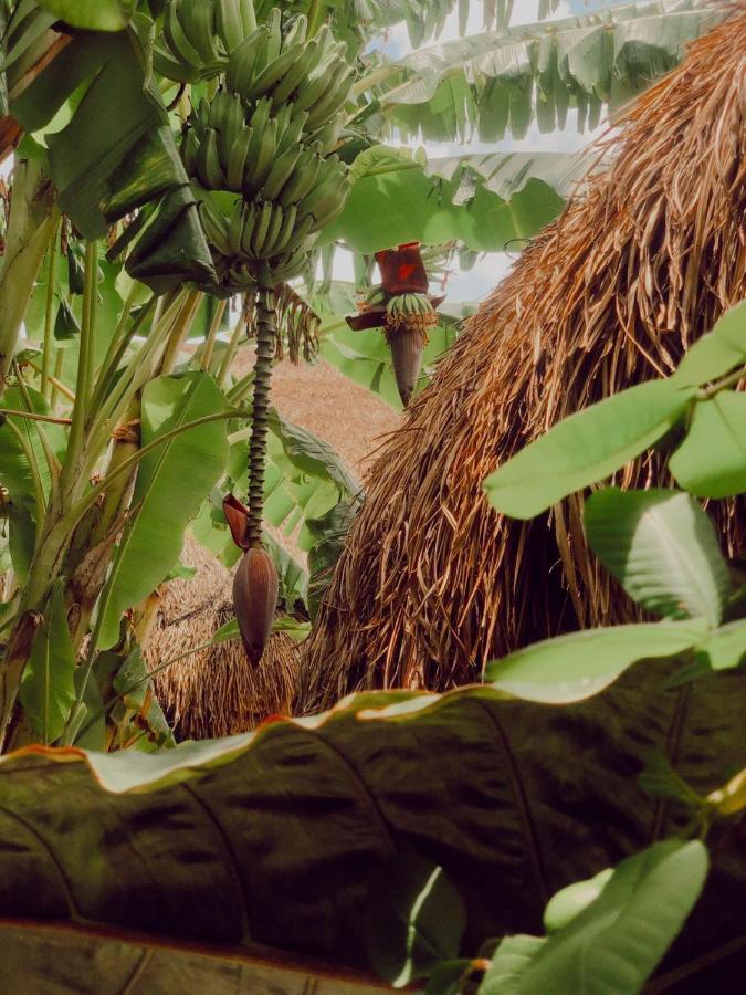 Hotel Aldea Che-Eek , Con Acceso A Un Club De Playa Privado Bacalar Exteriér fotografie