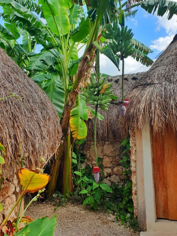 Hotel Aldea Che-Eek , Con Acceso A Un Club De Playa Privado Bacalar Exteriér fotografie